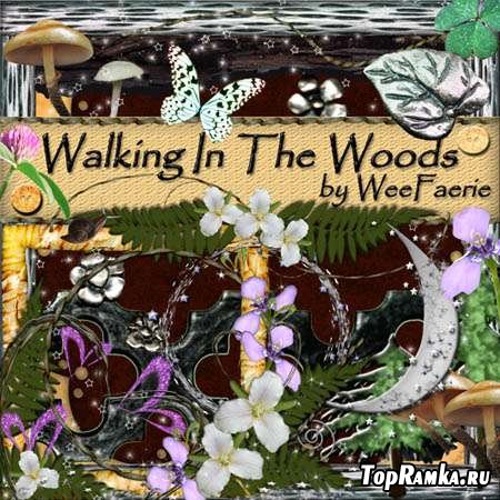  -  - Walking in the wood /   