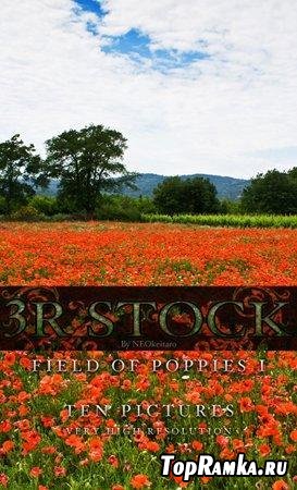 3R Stock - Poppy Field (1-2)