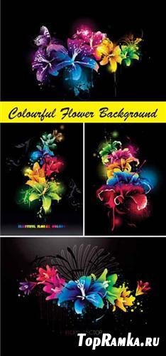 Colourful Flower Background