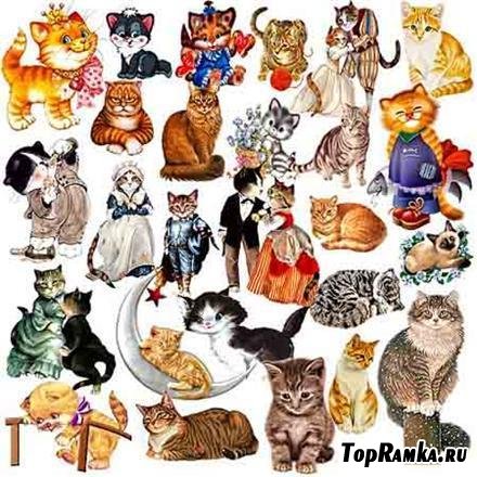 Clipart - so different cat (  )