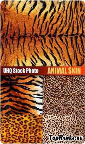 UHQ Stock Photo - Animal Skin