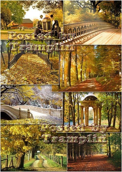   Autumn landscapes   